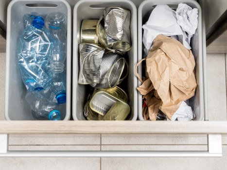 Sorted items for donation and recycling